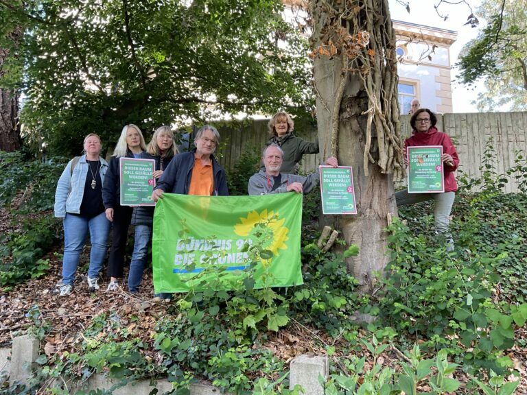 Bäume am Pöppelmann Haus erhalten